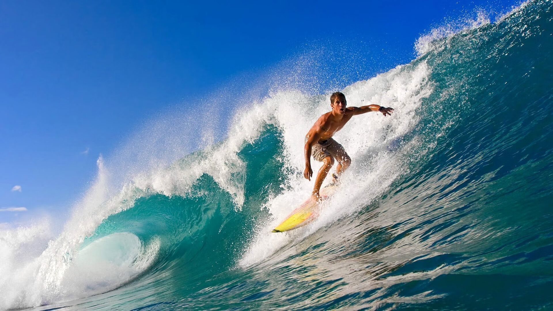 球员在欧冠中因为关键表现进入国家队主力视野，欧冠 球员